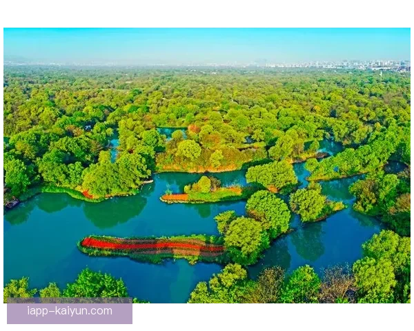 苔原107到94纽芬兰罗地区生态环境与物种多样性研究综述
